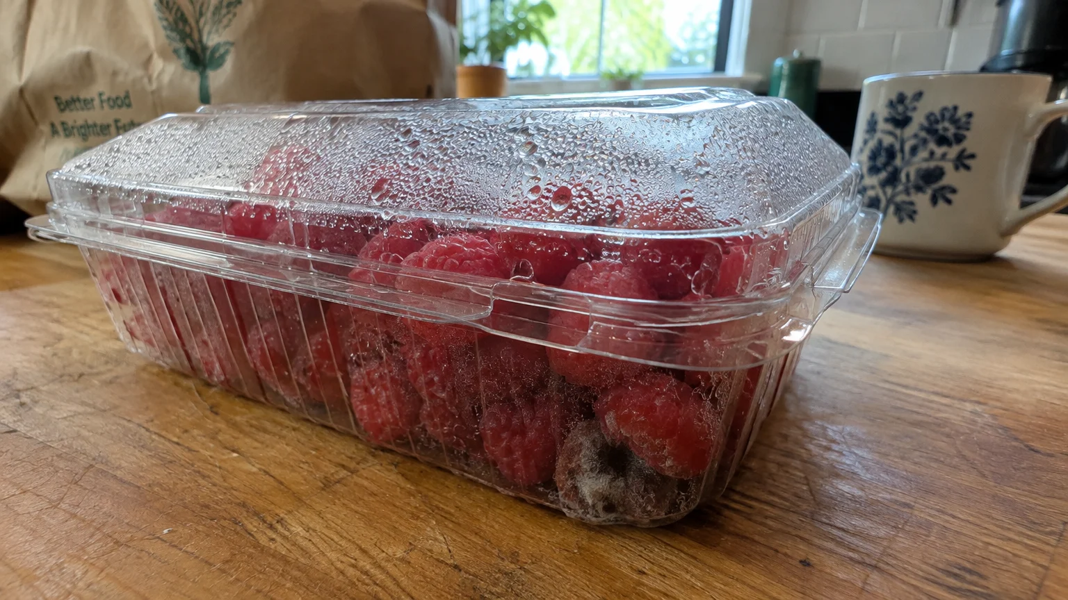 Clear plastic clamshell of raspberries covered in condensation droplets, with gray mold visible on bottom berries.